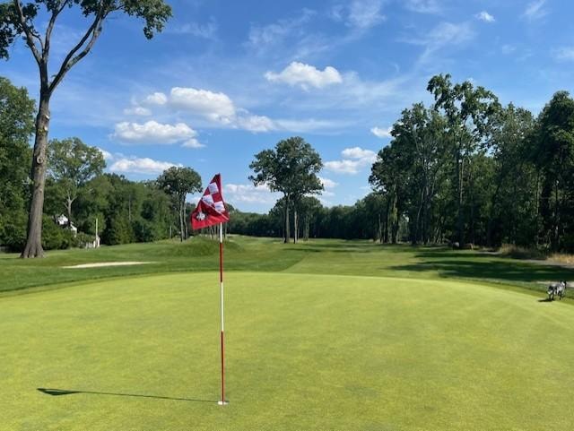 Golf course green with flag and trees